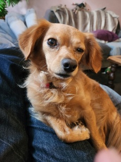 Winnie