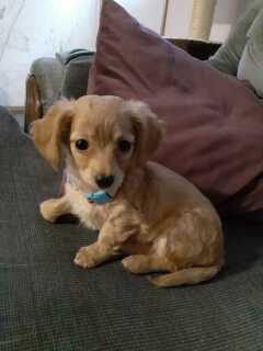Winnie